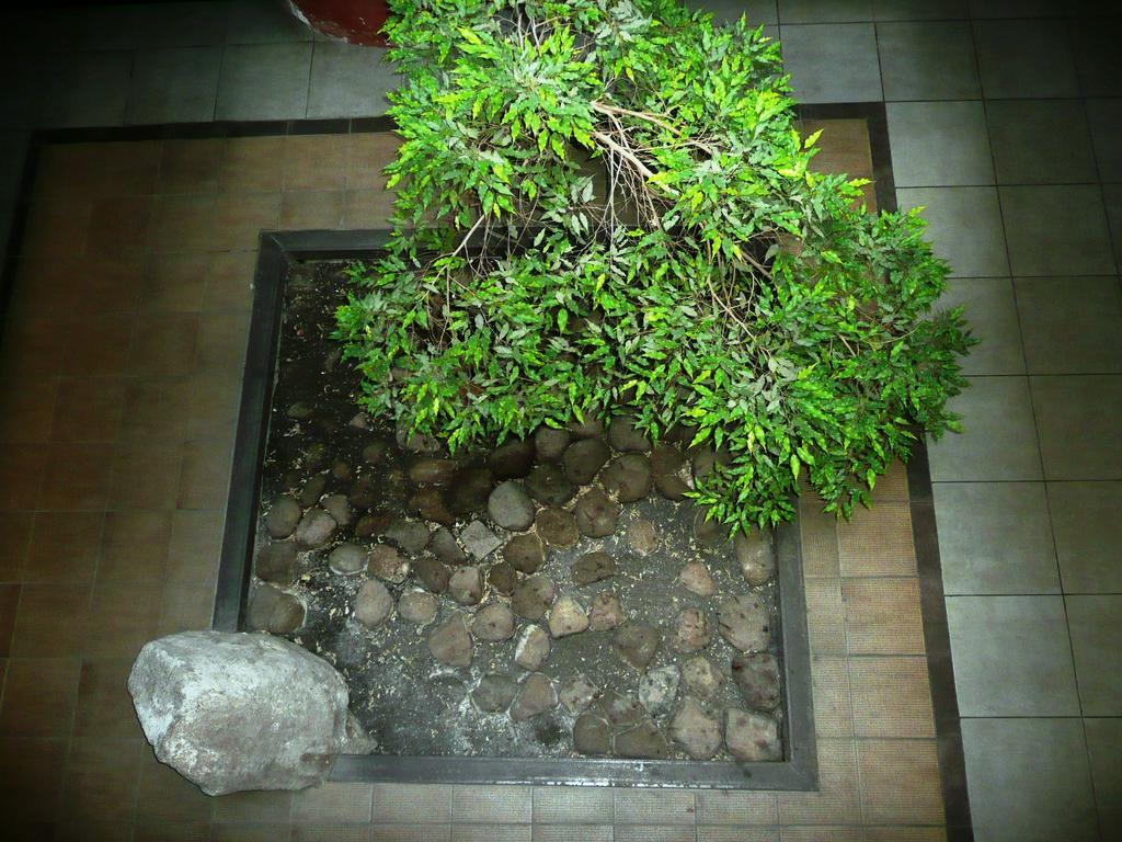 Like Home Apartments - 2 Rooms With Balcony Wilna Exterior foto