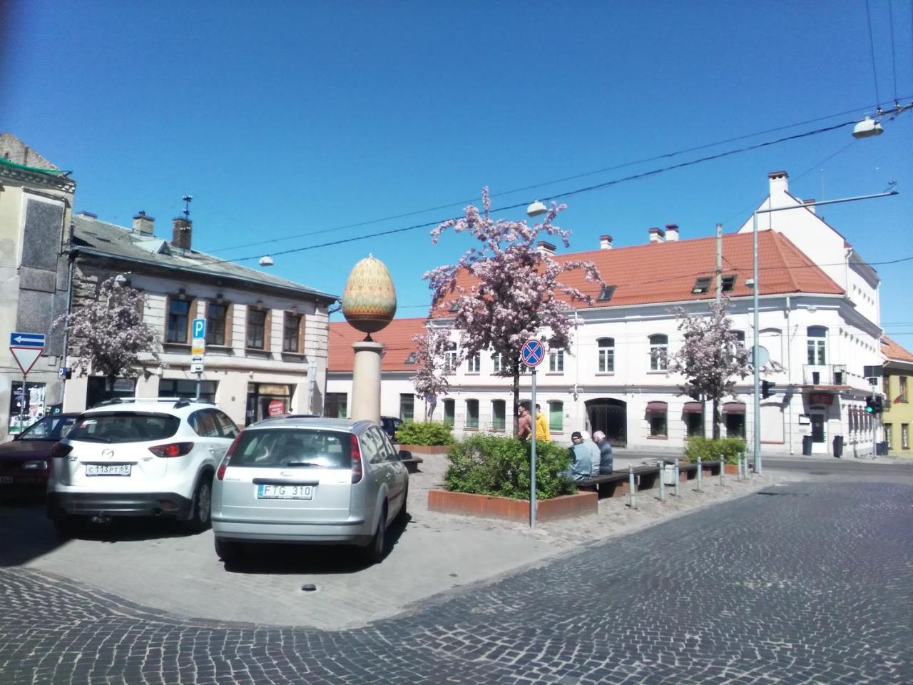 Like Home Apartments - 2 Rooms With Balcony Wilna Exterior foto